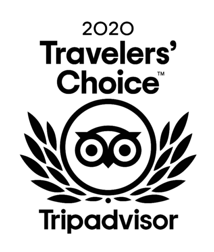 TripAdvisor Travelers' Choice 2020 logo